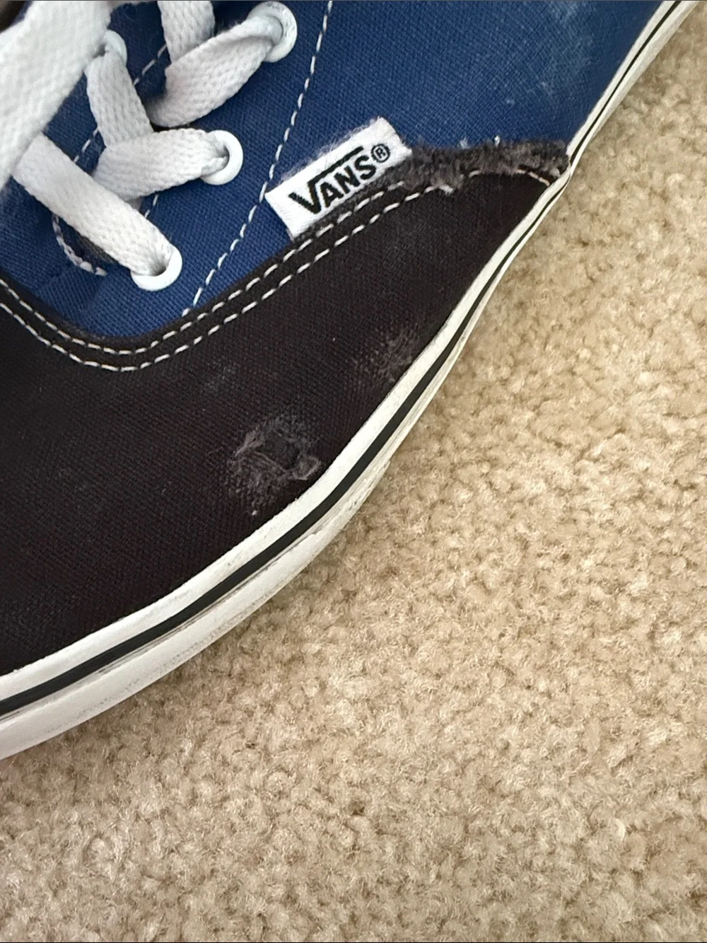 Vans Kids Low-Top Lace-Up Sneakers in Black and Blue boys size 6